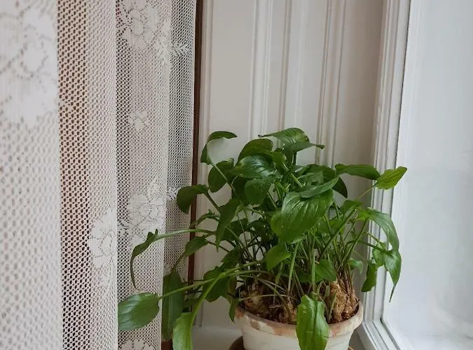 ゲストハウス Sakuranbo - ブダペスト