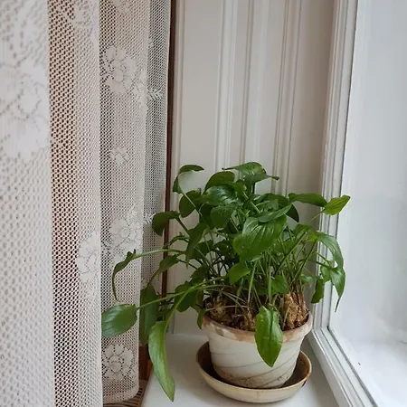 Gæstehus Sakuranbo - Budapest